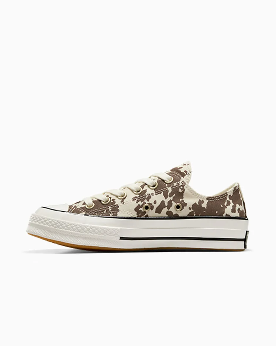 Converse Modelli Bassi|Chuck Taylor All Star<Chuck 70 Animal Print Egret/Marrone/Oro