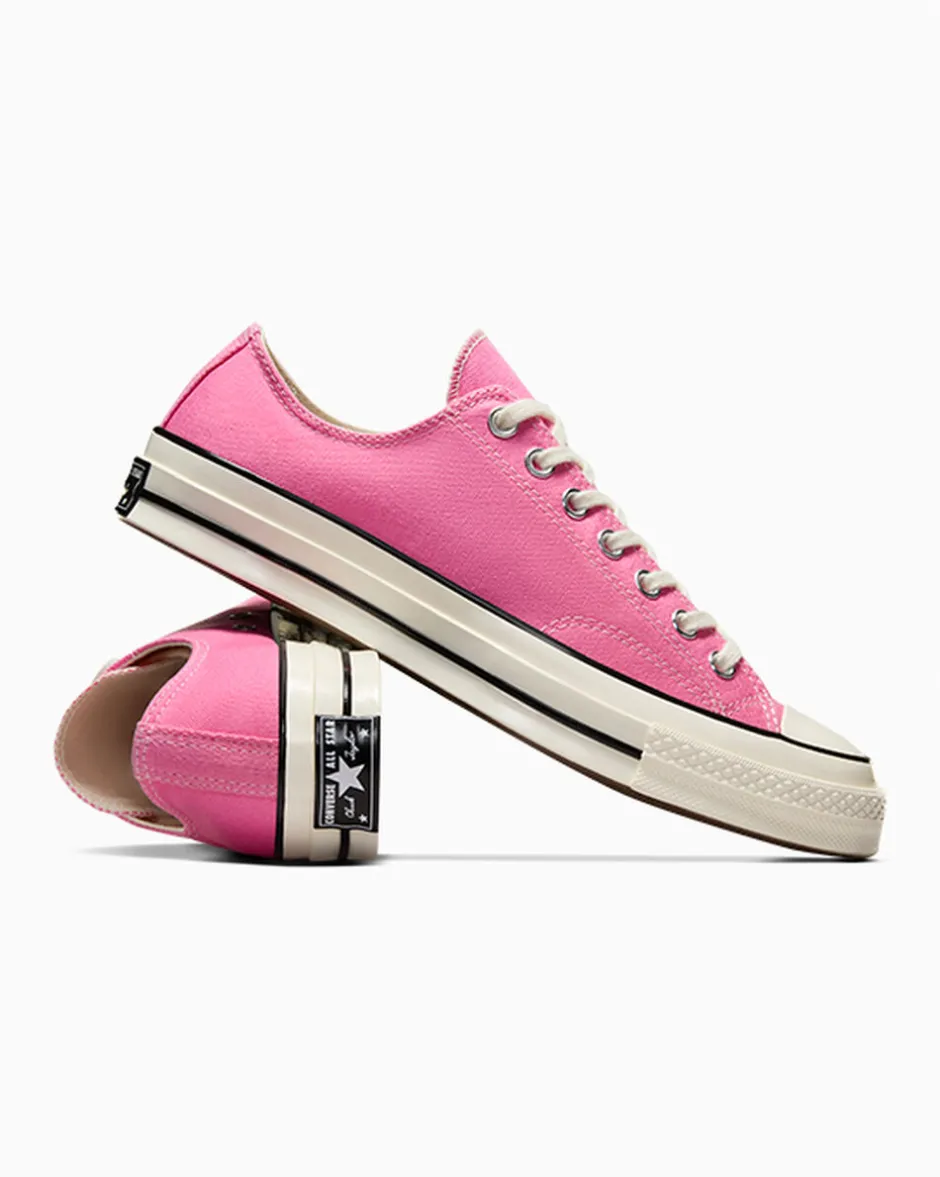 Converse Modelli Bassi|Modelli Bassi<Chuck 70 Vintage Canvas Rosa/Egret/Nero
