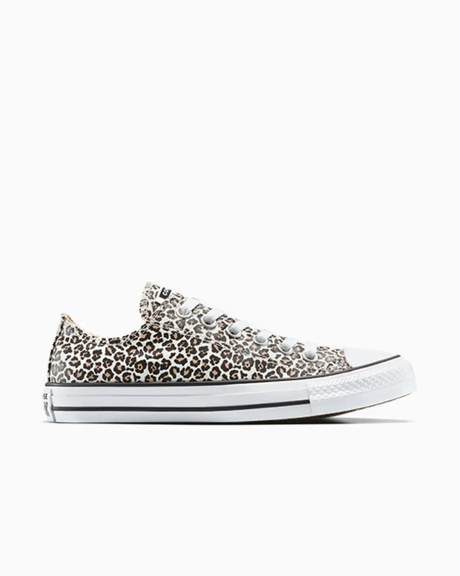 Converse Modelli Bassi|Modelli Bassi<Chuck Taylor All Star Leopard Nero/Duna costiera/Egret