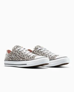 Converse Modelli Bassi|Modelli Bassi<Chuck Taylor All Star Leopard Nero/Duna costiera/Egret