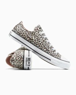 Converse Modelli Bassi|Modelli Bassi<Chuck Taylor All Star Leopard Nero/Duna costiera/Egret