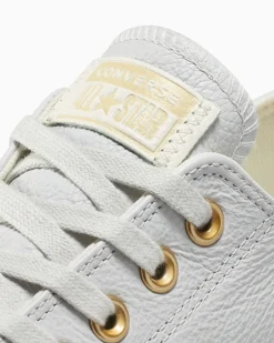 Converse Modelli Bassi|Modelli Bassi<Chuck Taylor All Star Mono Leather Grigio pallido/Grigio pallido