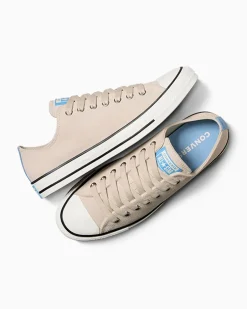 Converse Modelli Bassi<Chuck Taylor All Star Suede Avorio naturale/Egret/Celeste