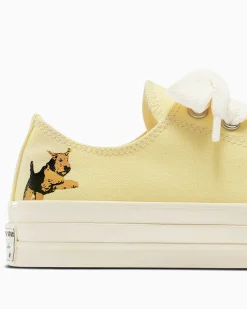 Converse Modelli Bassi|Modelli Bassi<x GOLF le FLEUR* Darryl Chuck 70 Lemon Meringue/Multi