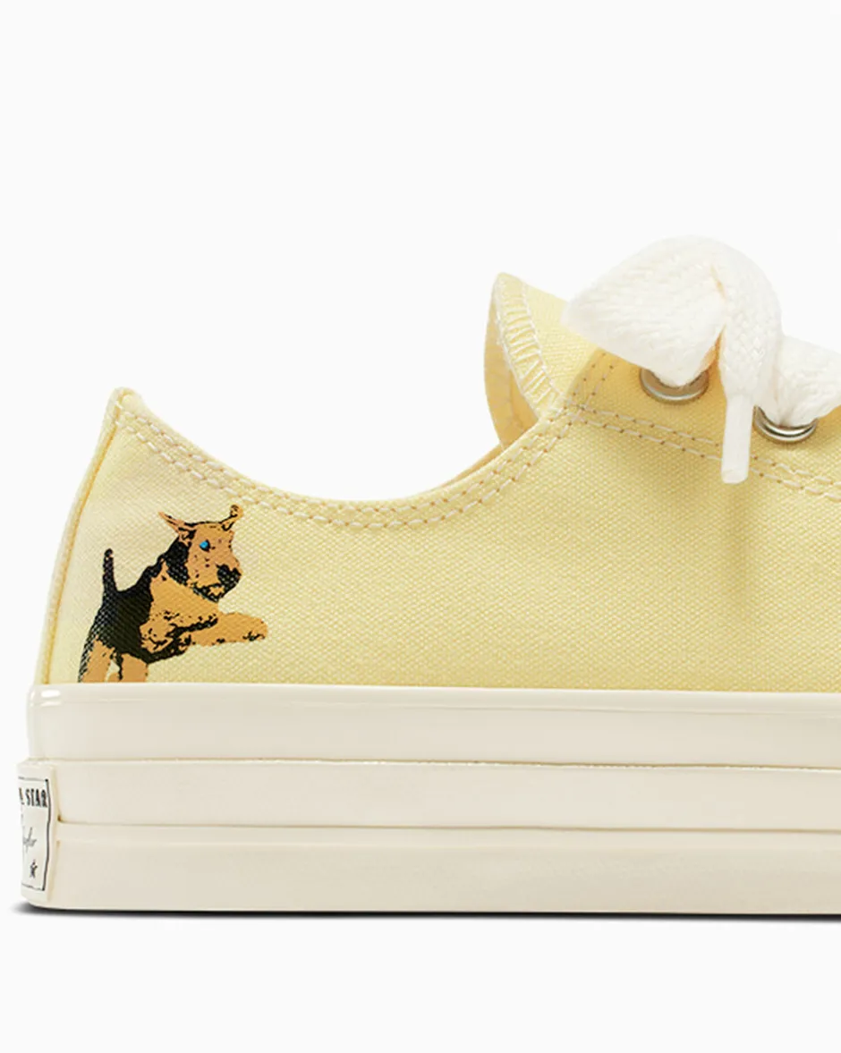 Converse Modelli Bassi|Modelli Bassi<x GOLF le FLEUR* Darryl Chuck 70 Lemon Meringue/Multi