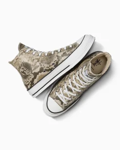 Converse Modelli Alti|Modelli Bassi<x Stüssy Chuck 70 Snakeskin darkroot