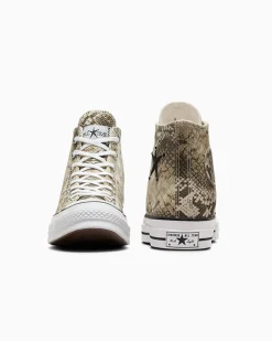 Converse Modelli Alti|Modelli Bassi<x Stüssy Chuck 70 Snakeskin darkroot