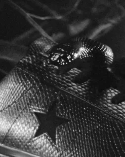 Converse Modelli Bassi|One Star<One Star Pro Jamie Platt Nero/Nero/Bianco